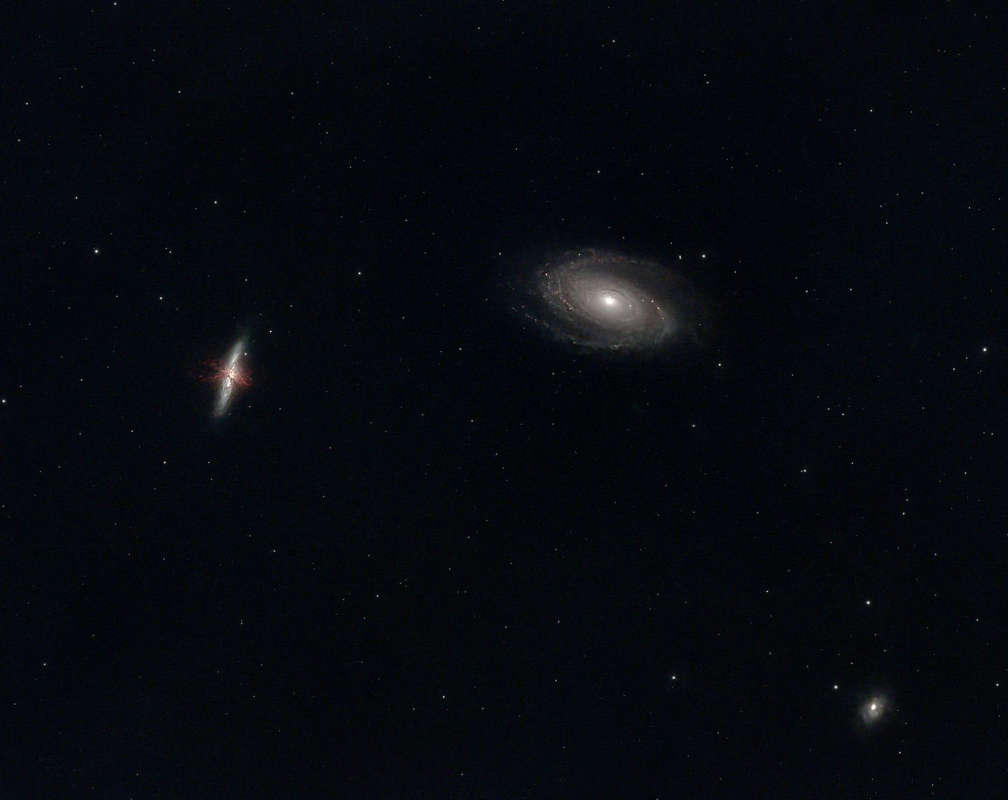 M81