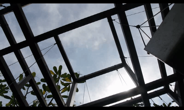 video.gif