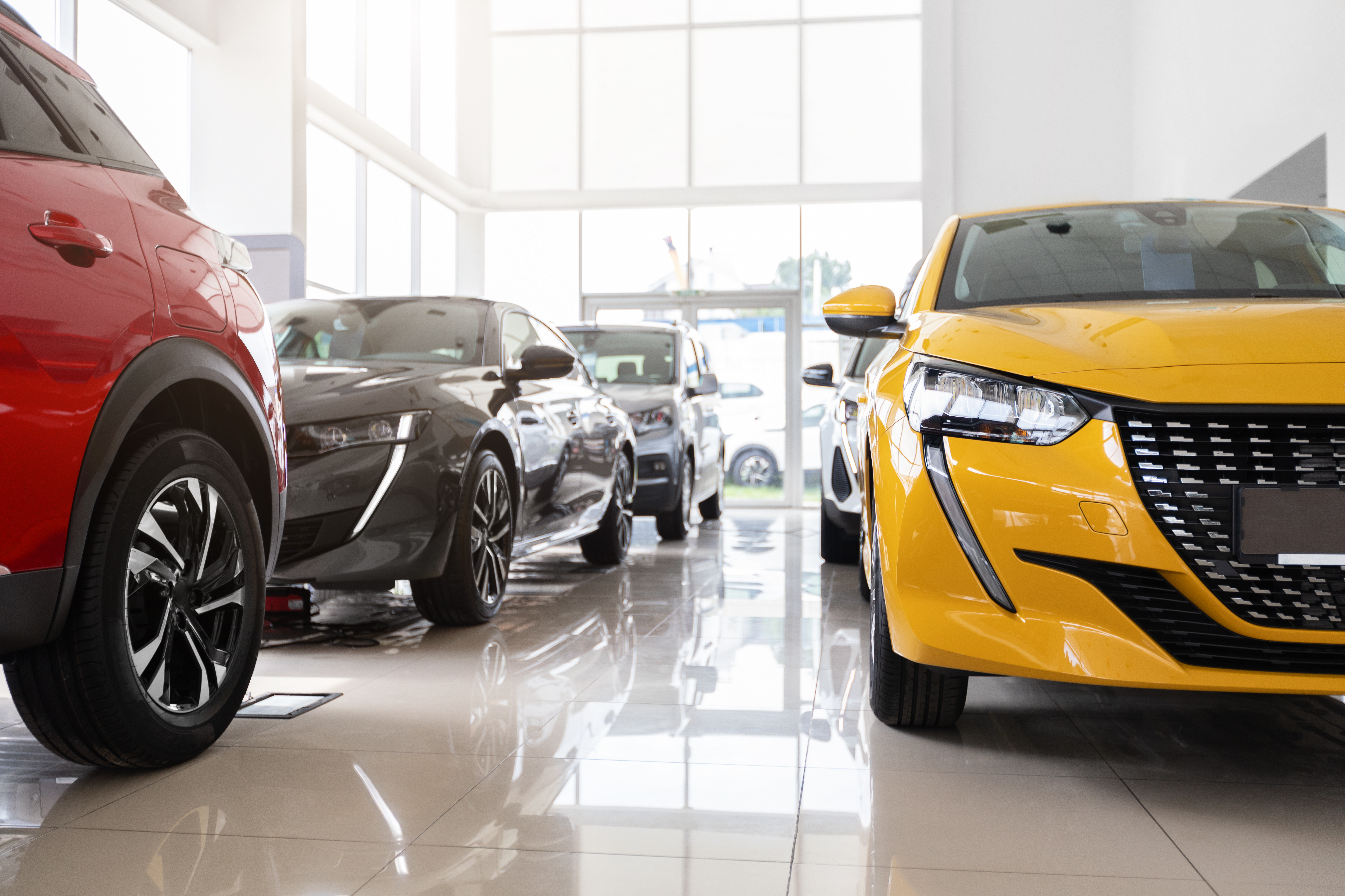 cars-on-display-inside-a-dealership-2026-01-08-23-15-26-utc.jpg