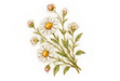 Déco Page Chamanisme site (16).png