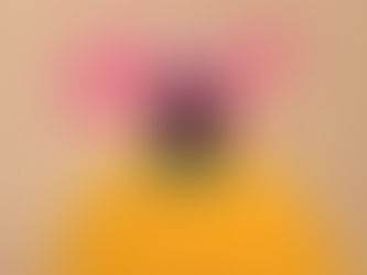 プロポーズの日(経験者は語る)