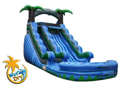 paradise inflatable slide rentals, Columbus Ohio, new albany Ohio party rentals