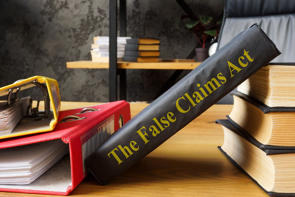 The False Claims Act book leaning on other books