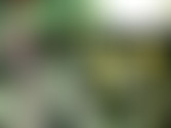 VFDs vs. Soft Starters