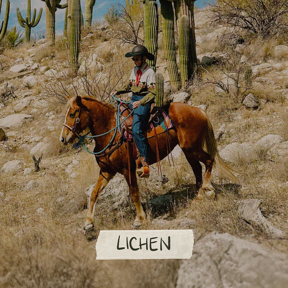 Residents-Lichen_edited.jpg