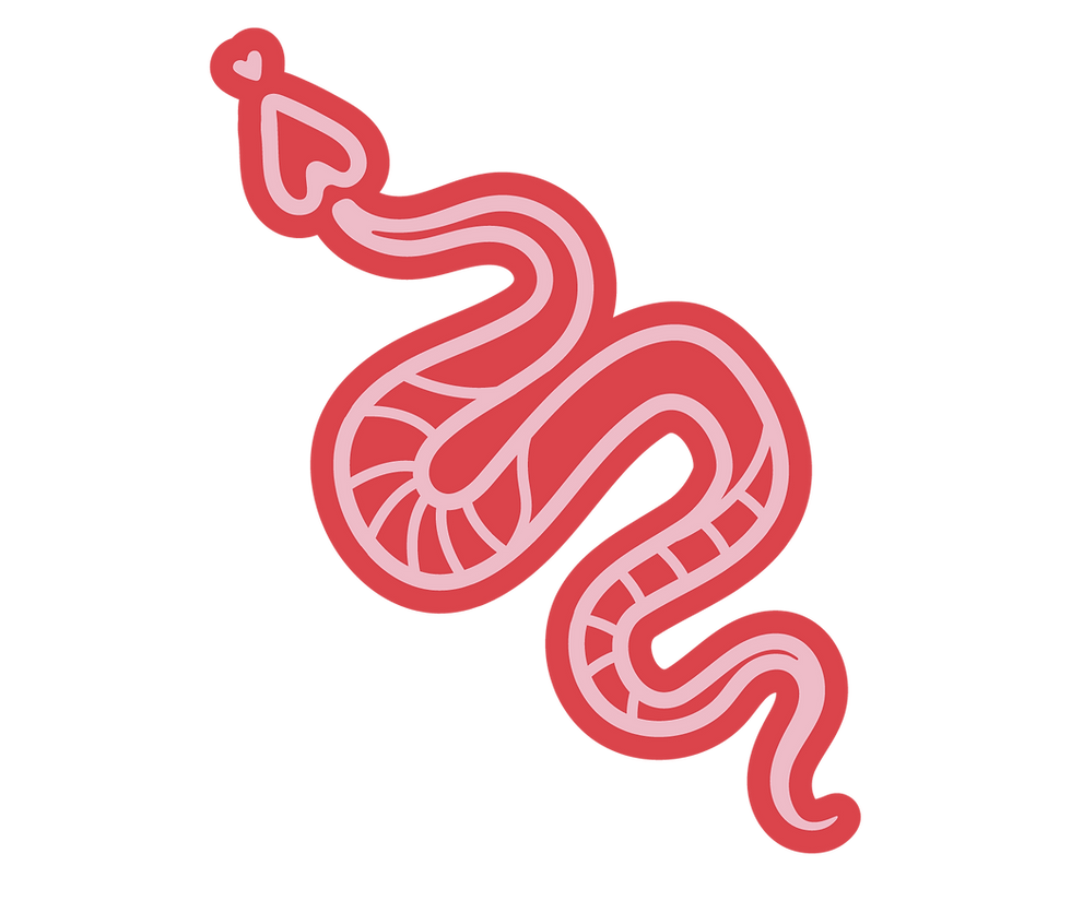 Mini-Tattoo-Illustrations_Snake-Pink-Line-Orange-BG.png
