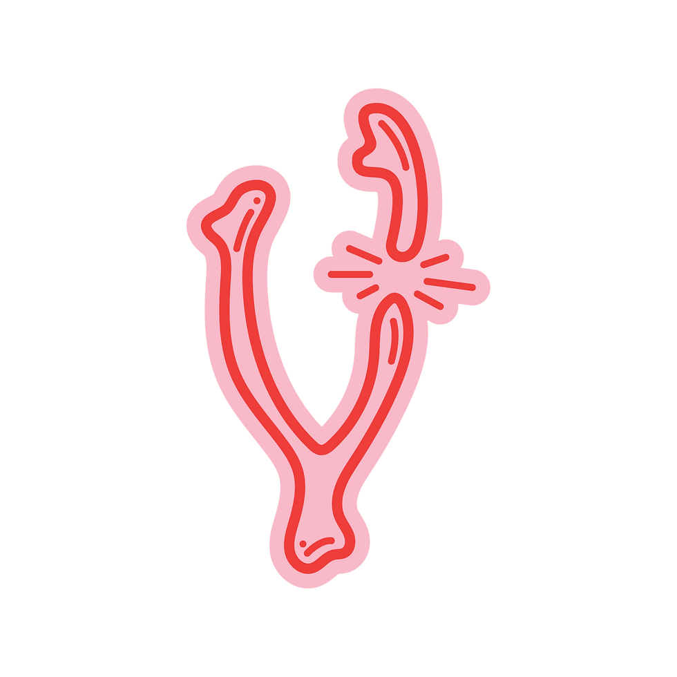 mini-tattoo-illustrations_wishbone-orange-line-pink-bg.png