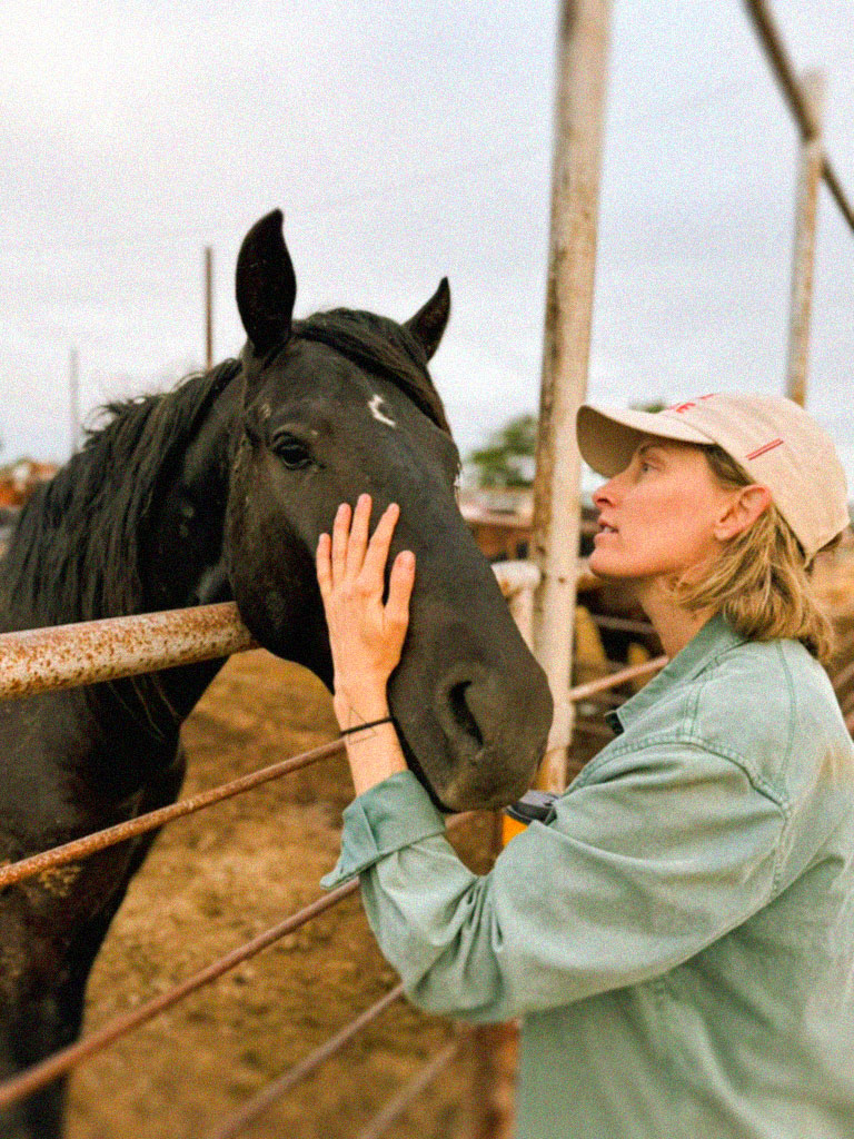 Rescue Ranchito founder gently touching rescued black mustang at Rescue Ranchito
