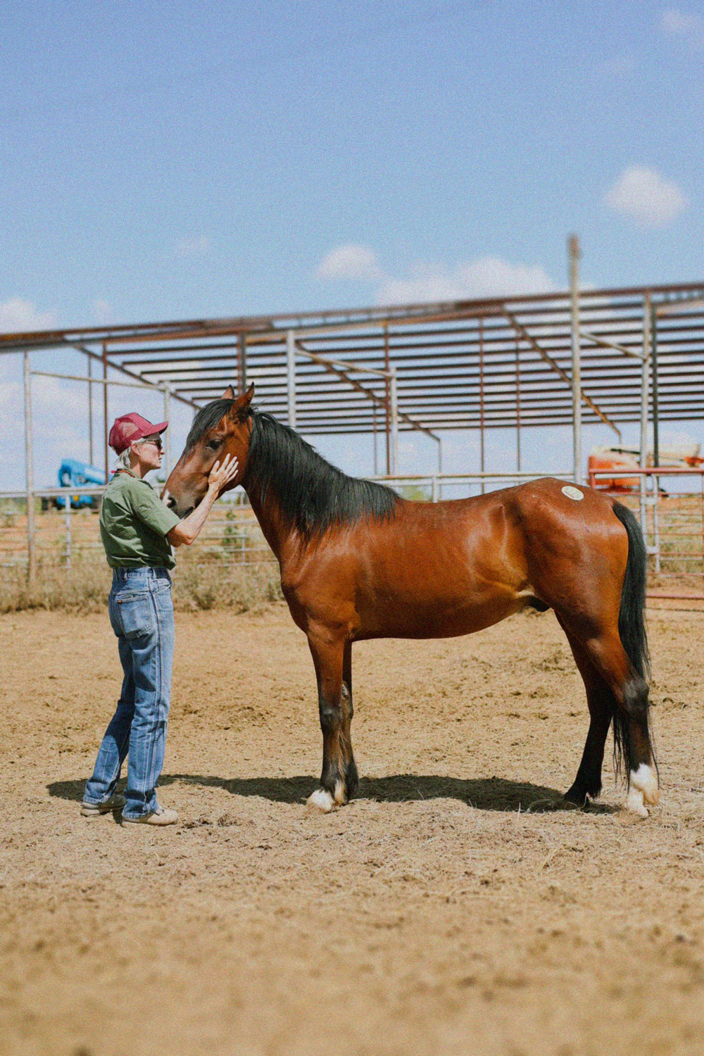 Rescue Ranchito founder standing with rescued bay horse at kill pen