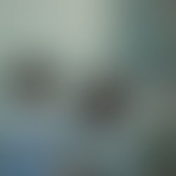 A King Like Other Nations