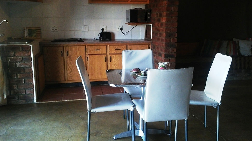 chalet kichen9.jpg