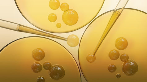 How Is CBN Tincture Made - Featured Image