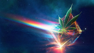 A cannabis leaf is superimposed over a yellow, geometric crystalline structure of distillates that emits a vibrant, rainbow-colored light