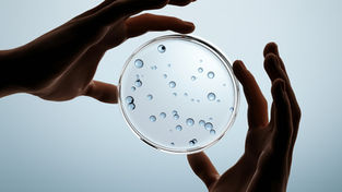 H4CBD vs CBD - Featured Image