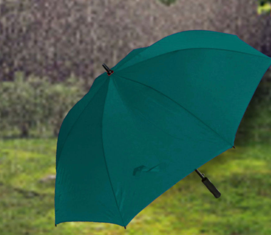 Miniatura: Fordmania umbrellas 