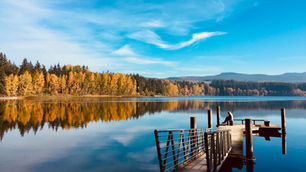 Whatcom County