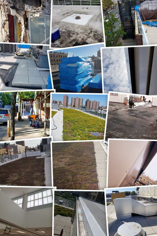 Project Collage