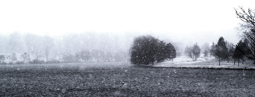 Olmsted Book photo by dellas