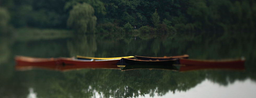 Olmsted photo by dellas