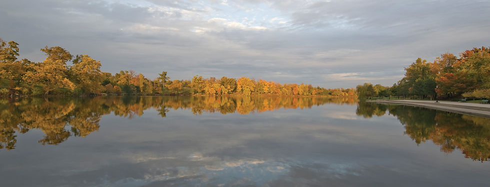 Olmsted Book photo by dellas