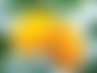 Discover the Timeless Charm of Lisbon: Unveiling the Hidden Gems and Unmatched Benefits