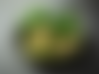 Exploring the Avocado Feurte: A Taste of Tradition and Nutritional Excellence