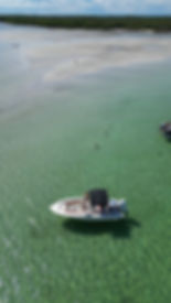 Morning at the Sandbar