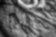 AME_345.jpg