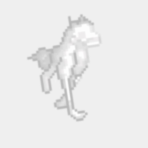 IMG 2 (1).gif
