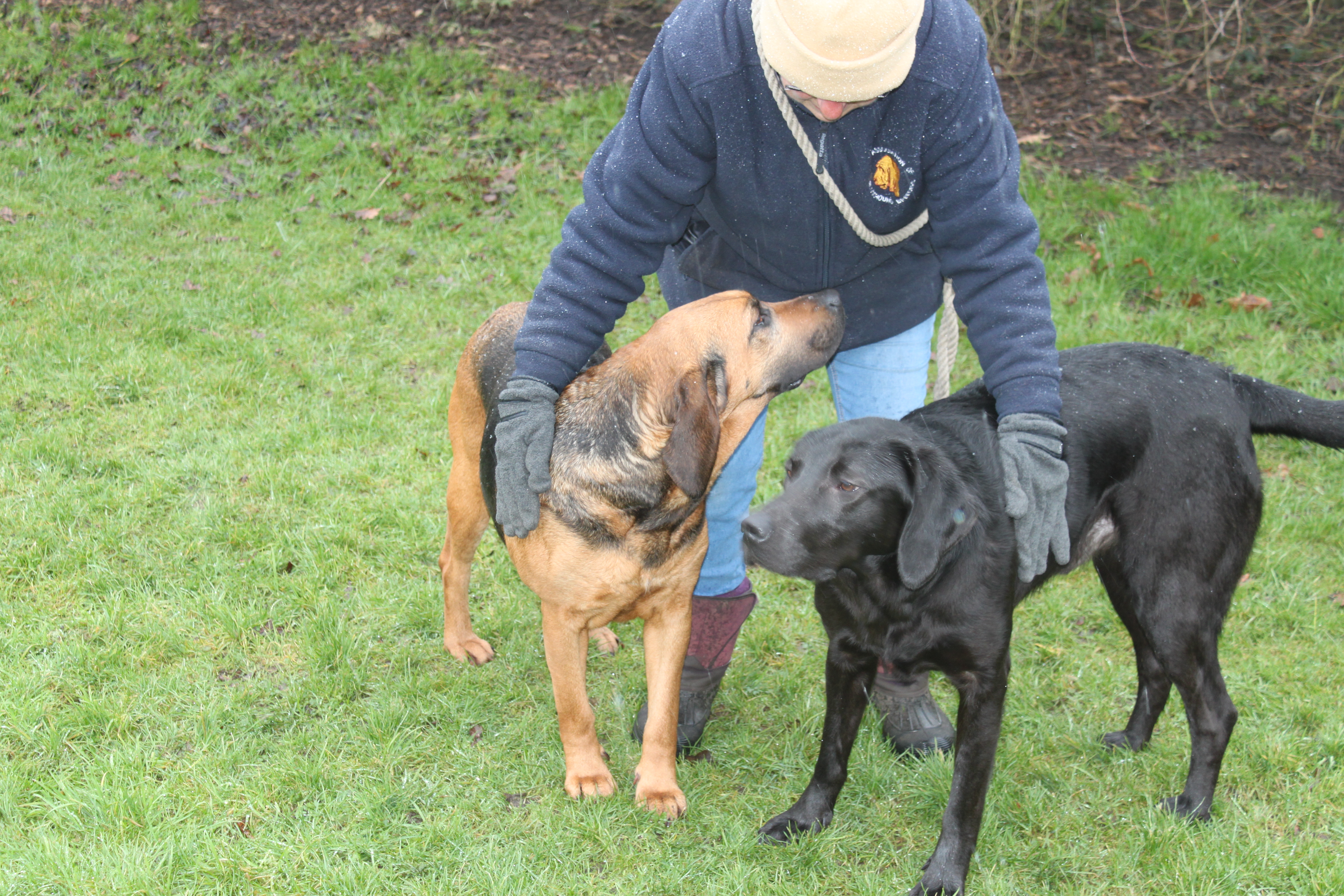 Fluke &Mum