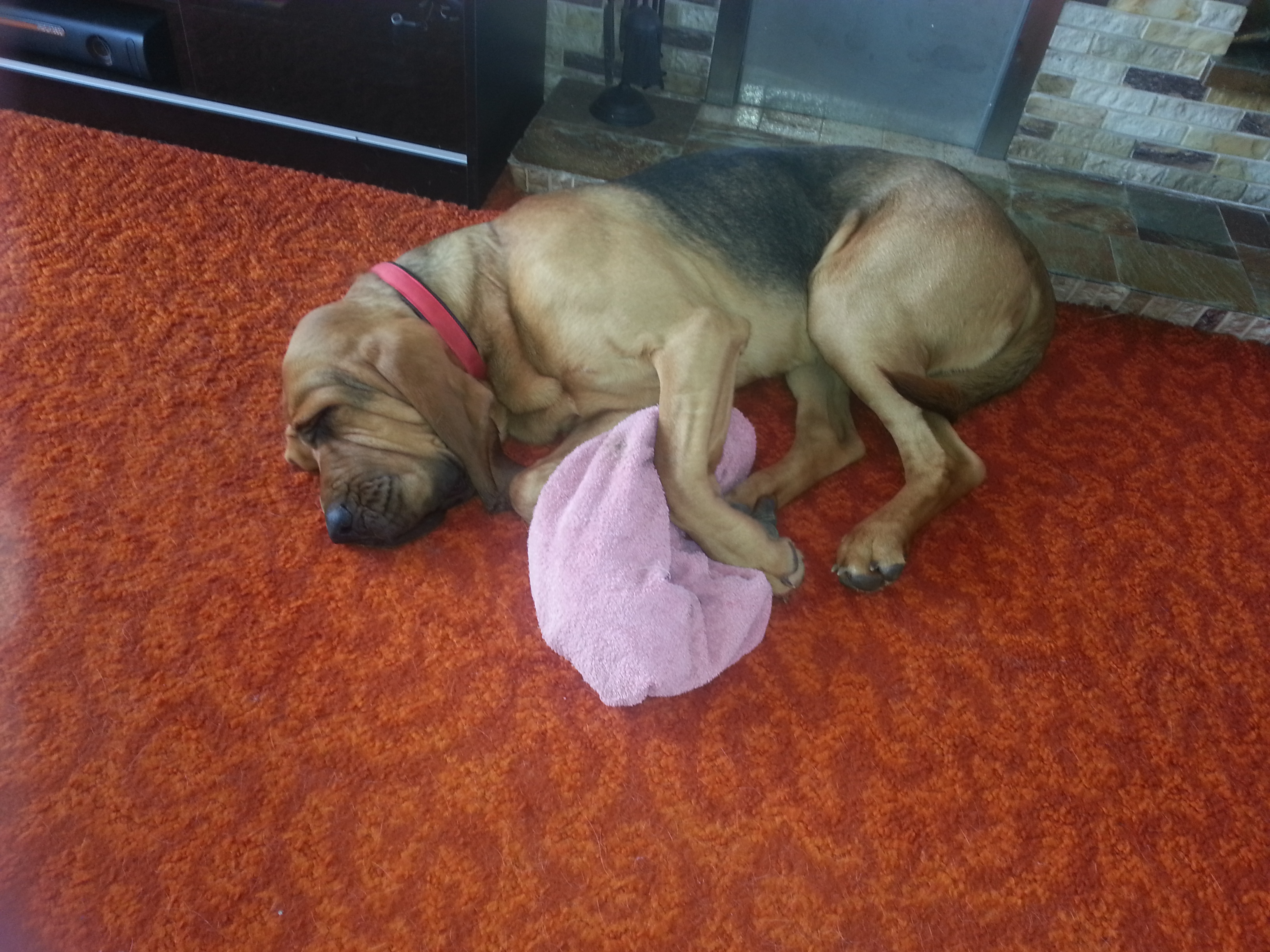 Gregory in new home