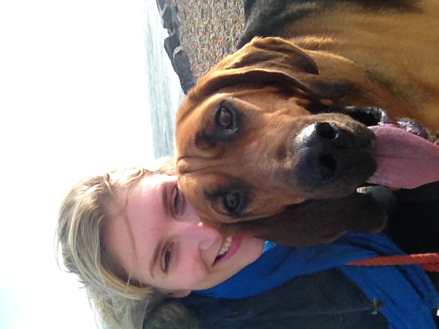 ajax on beach