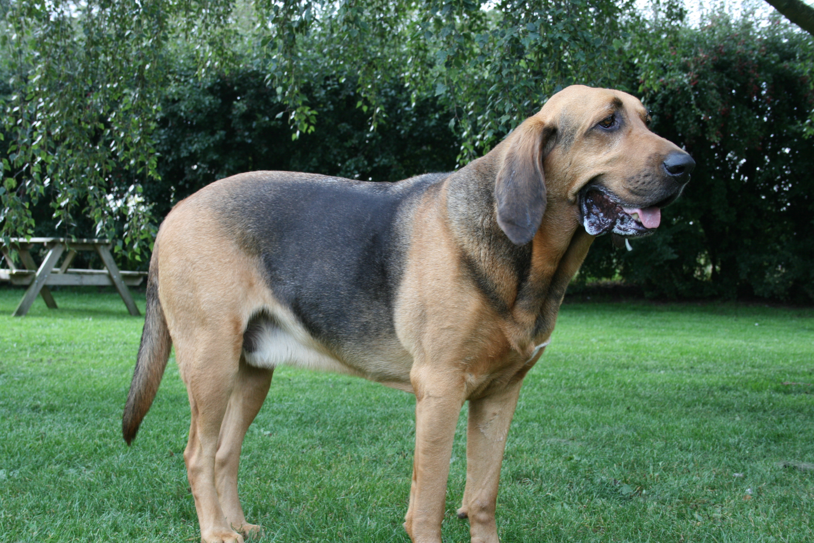 Max 2