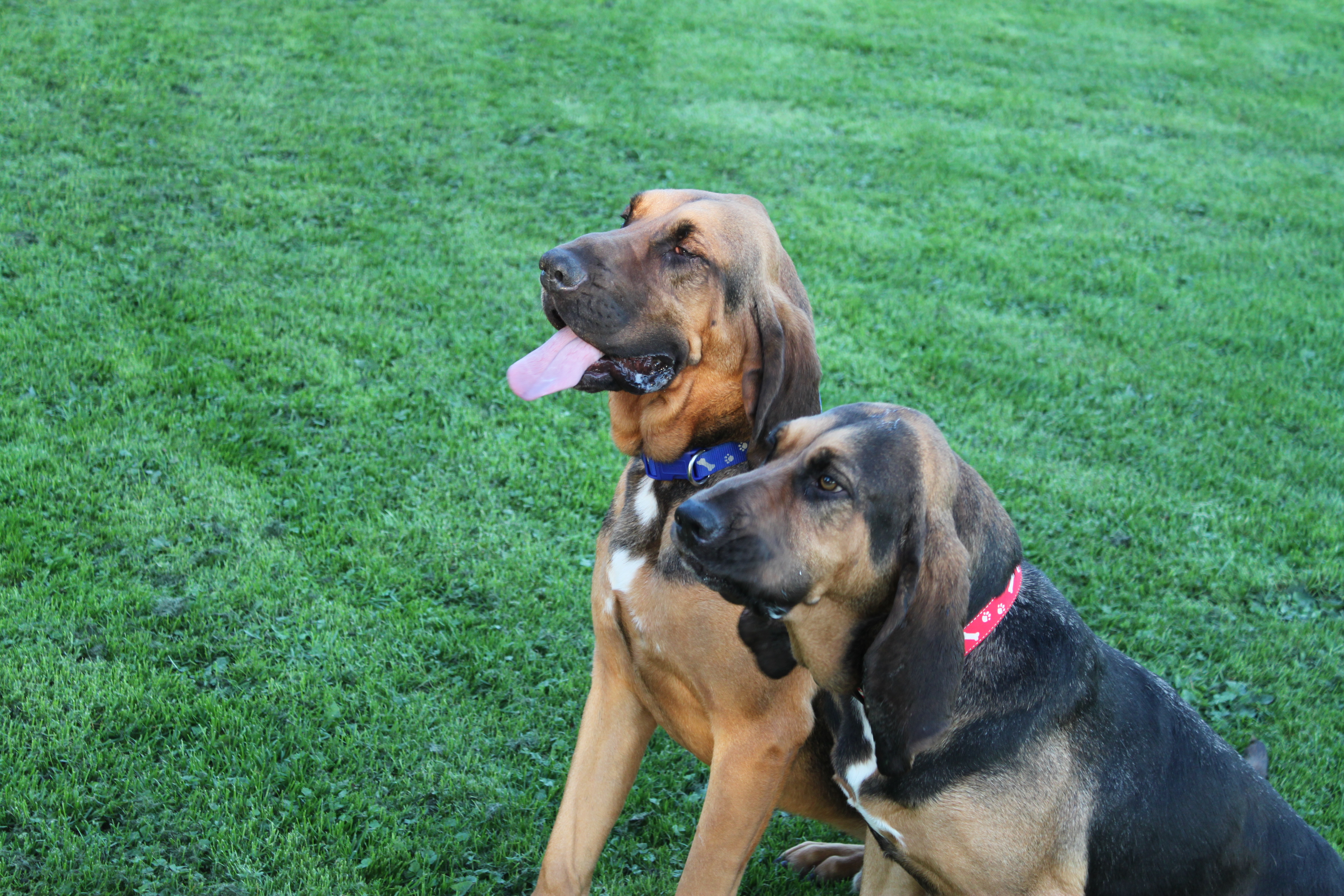 Humphrey & Penny