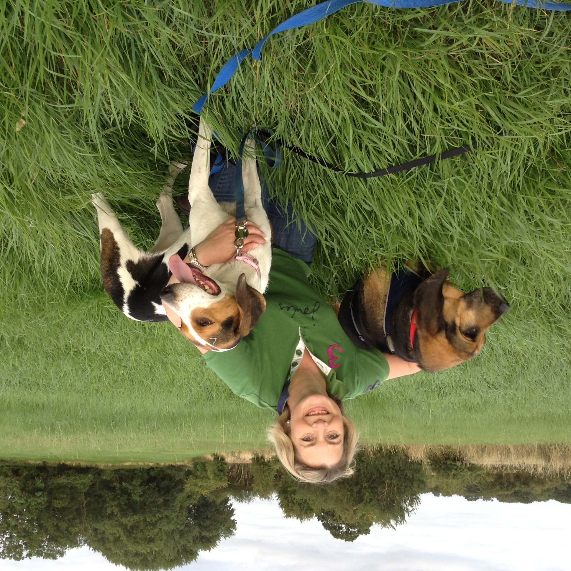 harold2