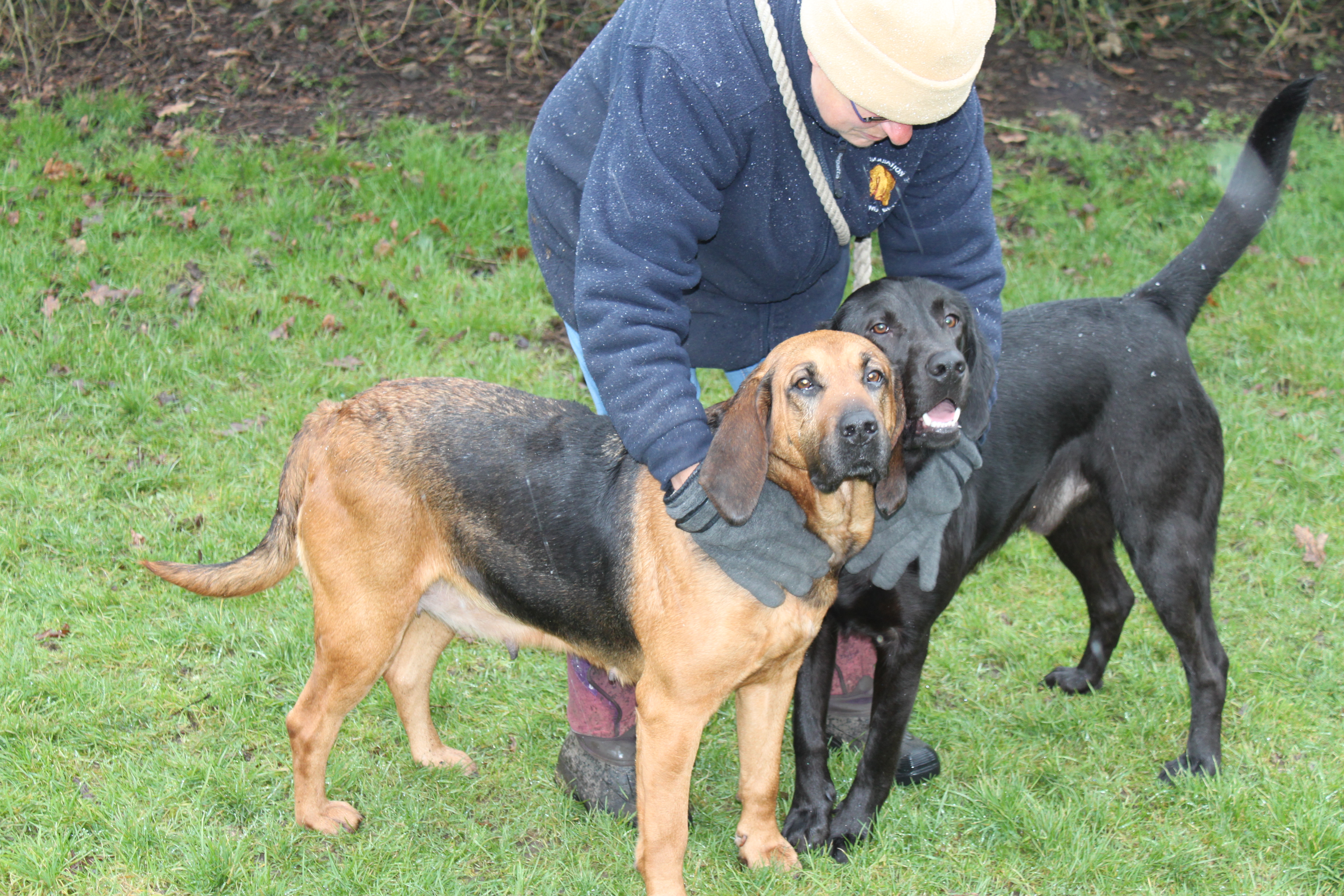 Luke & Belle1