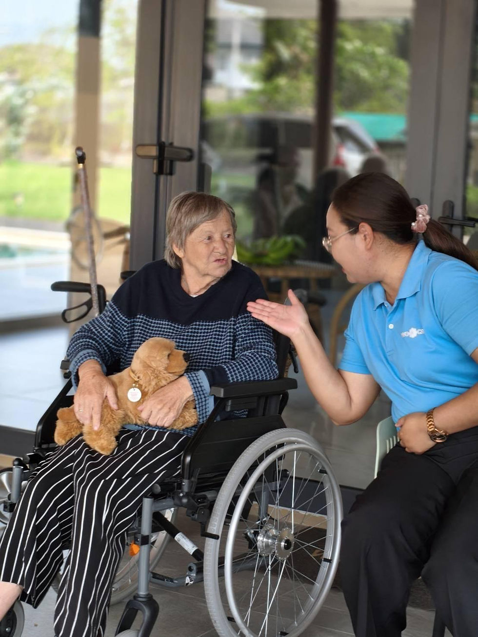 Conversation in the wheelchair with a teddy