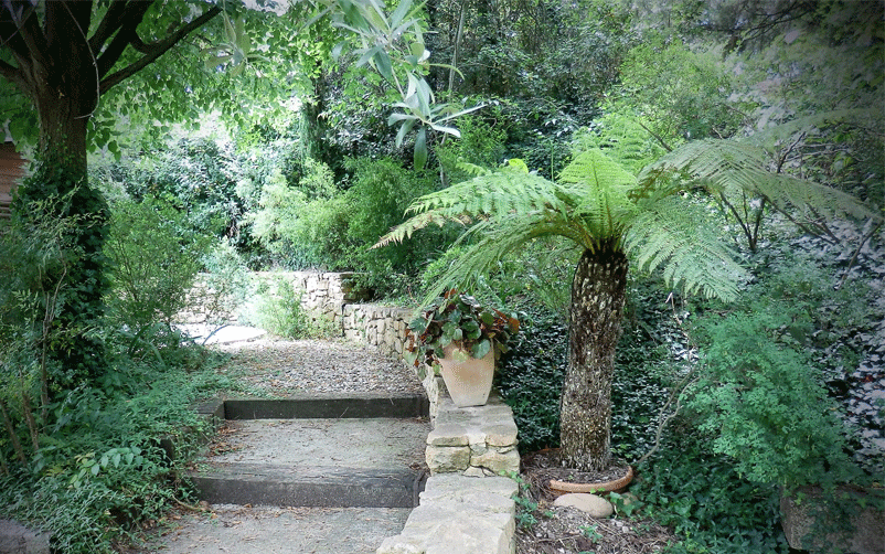 HORTUS CREATION