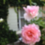 La ferme des Sablons