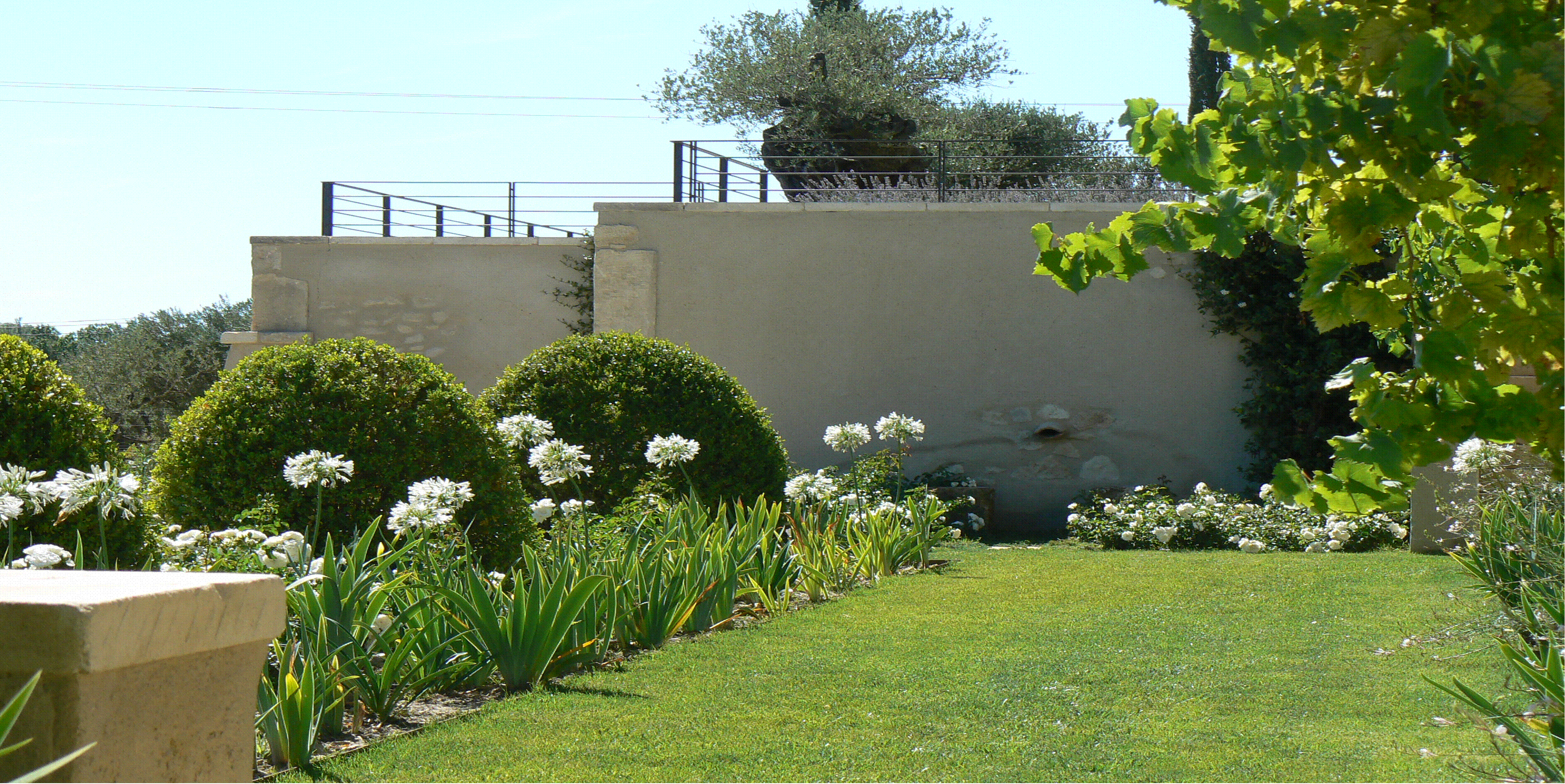 HORTUS CREATION