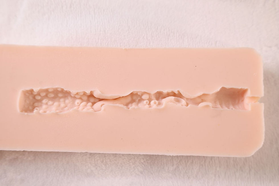 膣内部16CM