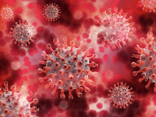 How The Covid-19 Pandemic Affected Children and Students