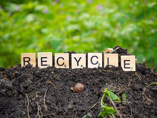 Why does no one recycle anymore?
