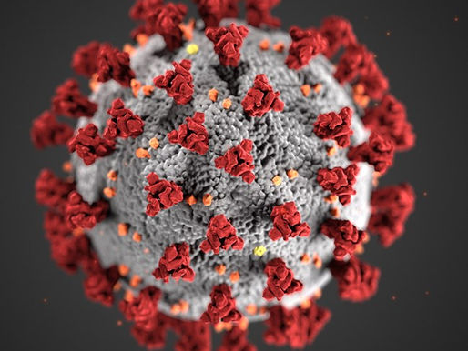 Coronavirus: School Closures