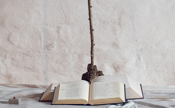 Wedding Portrait Photography Skåne