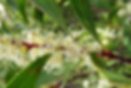 Cover Photo.jpg