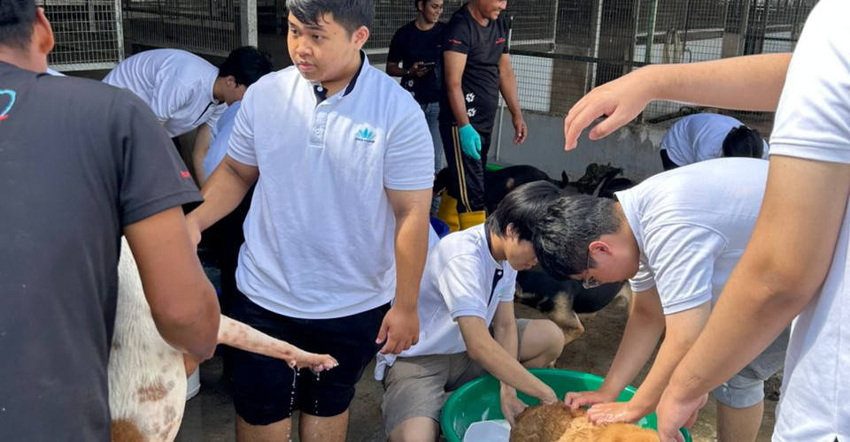 ViTrox College students take turn to bath 39 dogs at SPCA Seberang Perai.