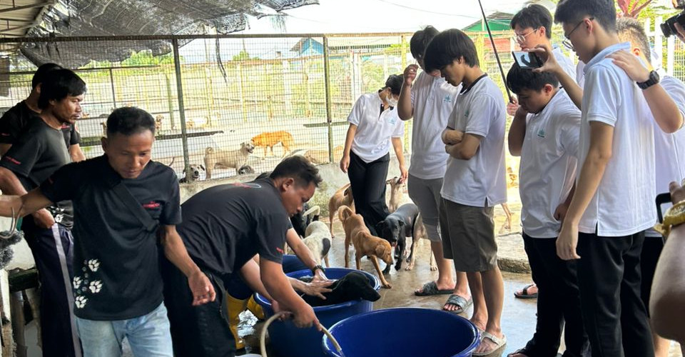ViTrox College students observe and listen attentively to the demonstration of Mr Richard to ensure a smooth bathing process for the dogs.