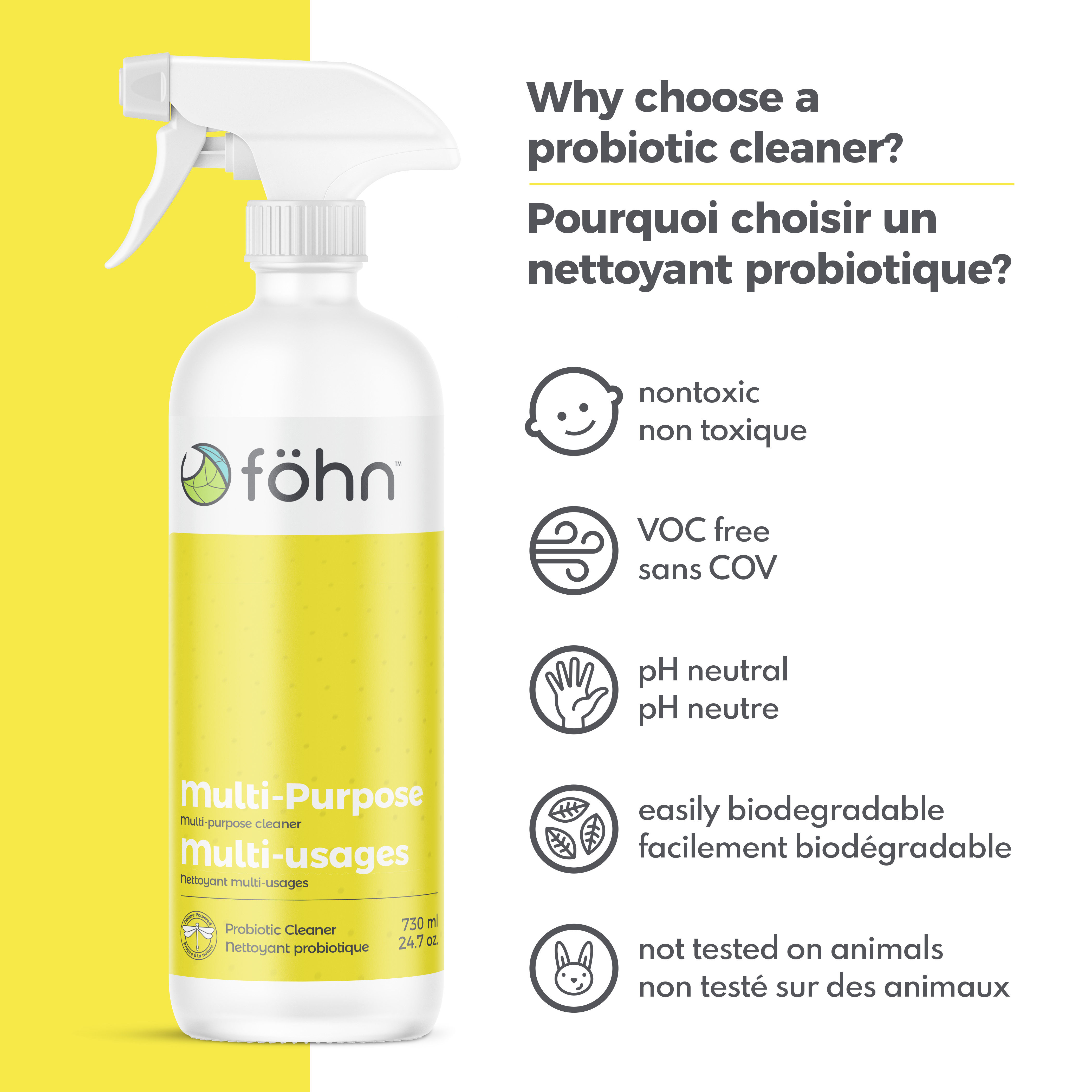 FÖHN Nettoyant multi-usages vaporisateur 730ml