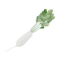 yamadanezumidaikon.png
